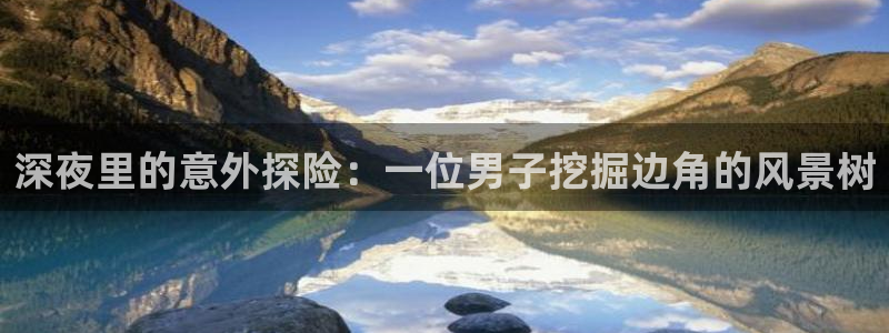 新宝GG扩展78778:深夜里的意外探险:一位男子挖掘边角的风景树