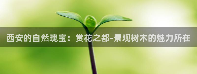 新宝gg娱乐注册-全芏网:西安的自然瑰宝:赏花之都-景观树木的魅力所在