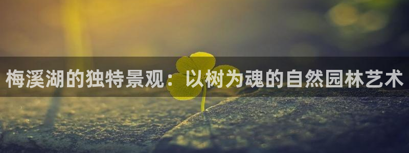 新宝gg测速:梅溪湖的独特景观:以树为魂的自然园林艺术